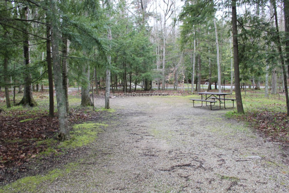 Campsite 114 In Daisy Field North Campground At Potawatomi State Park ...